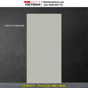Gạch ốp tường Đồng Tâm 3060VICTORIA006 - 30x60
