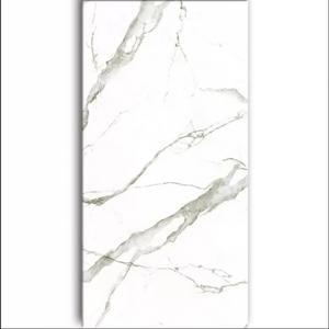 Gạch ốp tường Eurotile 60×120 SIG-P61206