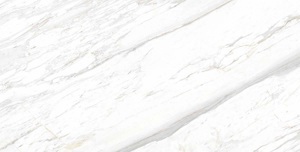 Gạch ốp tường Eurotile 60×120 SIG-P61201