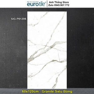 Gạch ốp tường Eurotile 60×120 SIG-P61206