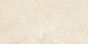 Gạch ốp tường Eurotile NGC G04 - 30x60