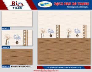 Gạch ốp tường giá rẻ 300x600 MK3667