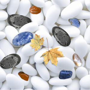 Gạch ốp tường Prime 30×45 9173