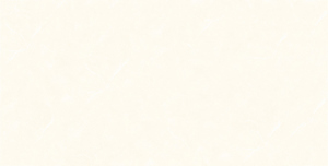 Gạch ốp tường Prime 30x60 9749