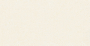 Gạch ốp tường Prime 30x60 9750