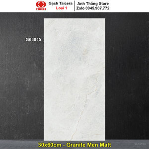 Gạch ốp tường Taicera 30×60 G63845