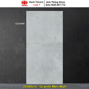 Gạch ốp tường Taicera 30×60 G63848