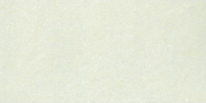 Gạch ốp tường Taicera 703N - 30x60