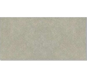 Gạch ốp tường Taicera G63992S - 30x60