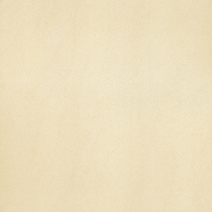 Gạch lát nền Taicera G68913 - 60x60