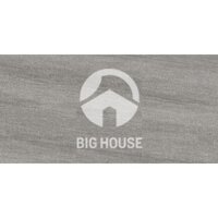 Gạch ốp tường Tasa 30×60 3714