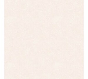 Gạch lát nền Tasa 6402 - 60x60