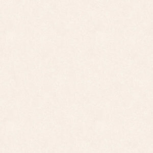 Gạch lát nền Tasa 6402 - 60x60