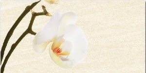 Gạch ốp tường Thạch Bàn 30x60 TKP36-008-22