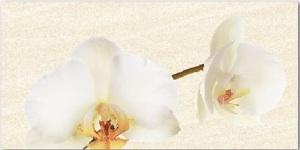 Gạch ốp tường Thạch Bàn 30x60 TKP36-008-21