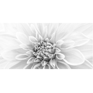 Gạch ốp tường Thạch Bàn TMP36-001 - 30x60