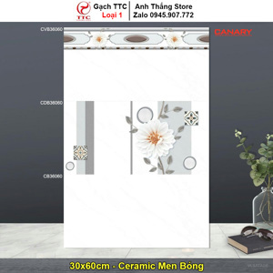 Gạch ốp tường TTC 30x60 CB36060