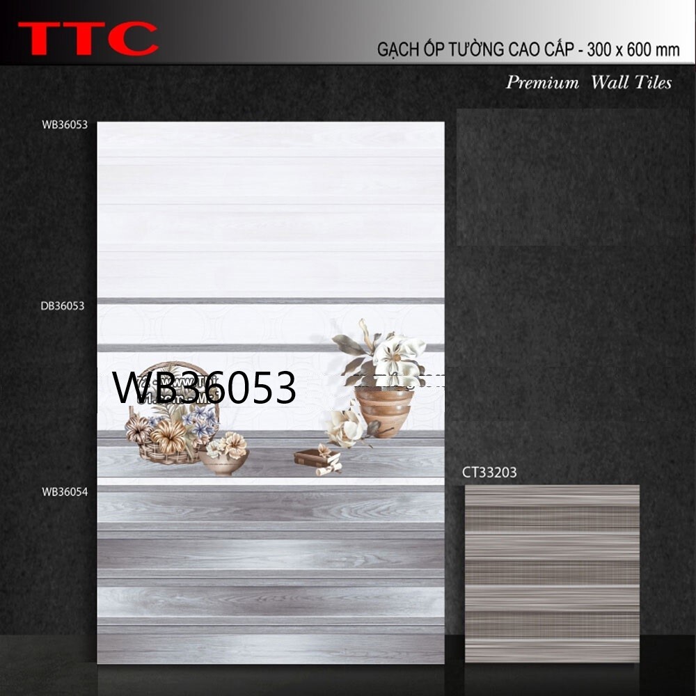 Gạch ốp tường TTC 30x60 WB36053