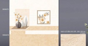 Gạch ốp tường TTC 30x60 WB36075