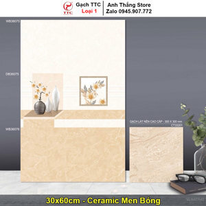 Gạch ốp tường TTC 30x60 WB36075