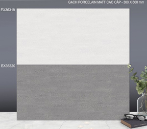 Gạch ốp tường TTC EX36320 - 30x60