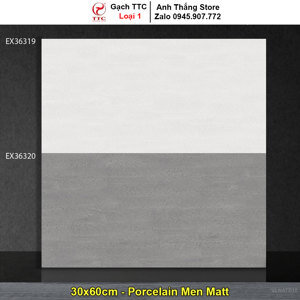 Gạch ốp tường TTC EX36320 - 30x60