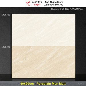 Gạch ốp tường TTC EX36326 - 30x60