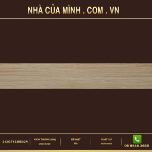 Gạch ốp tường Vietceramic 212GT1225502R