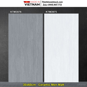 Gạch ốp tường Viglacera 300x600 KTM3975