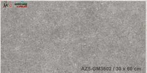 Gạch ốp tường Viglacera 30×60 AZ5-GM3602
