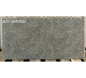 Gạch ốp tường Viglacera 30×60 AZ5-GM3602