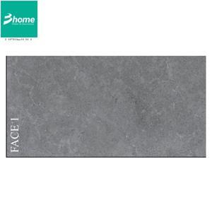 Gạch ốp tường Viglacera 30×60 PT20-G3605