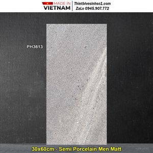 Gạch ốp tường Viglacera 30×60 PH3613