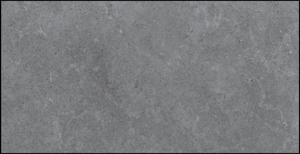 Gạch ốp tường Viglacera 30×60 PT20-G3605