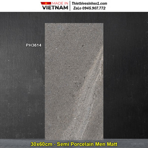Gạch ốp tường Viglacera 30×60 PH3614