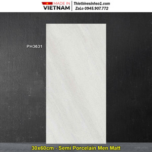 Gạch ốp tường Viglacera 30×60 PH3631
