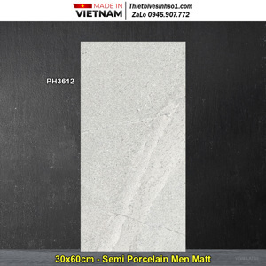 Gạch ốp tường Viglacera 30×60 PH3612