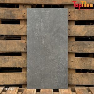 Gạch ốp tường Viglacera 30×60 PH3642