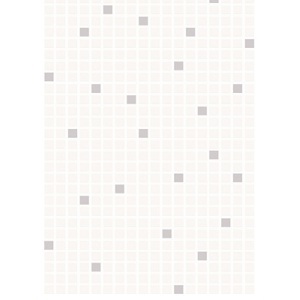 Gạch ốp tường Viglacera B4555 - 30x45