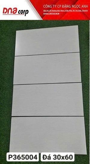 Gạch ốp tường Ý Mỹ P365004 - 30x60