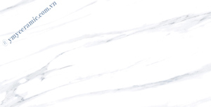 Gạch ốp tường Ý Mỹ P6128010R - 60x120