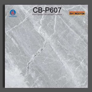 Gạch platinum 600×600 Viglacera CB-P607