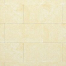 Gạch lát nền Đồng Tâm 4080GECKO001