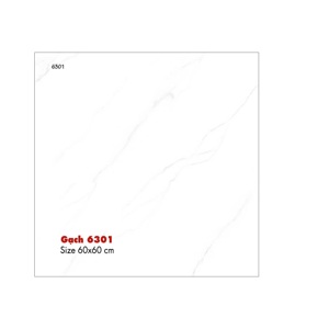 Gạch Porcelain SCT-6301