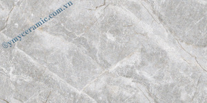 Gạch Premium Marble Matt P365011C