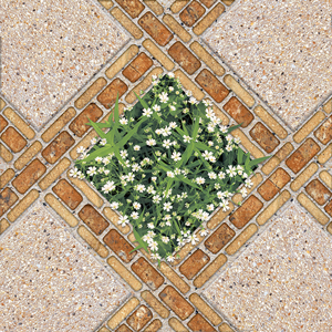 Gạch sân vườn 40×40 Prime 9240