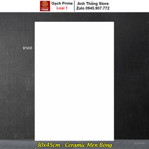 Gạch sân vườn 50x50 9500