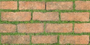 Gạch sân vườn Đồng Tâm 3060GREENERY008 - 30x60