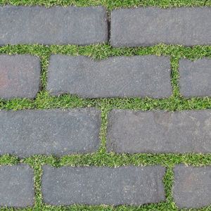 Gạch sân vườn Đồng Tâm 3060GREENERY007 - 30x60