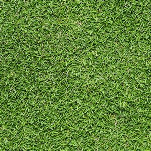 Gạch sân vườn Đồng Tâm 3060GREENERY001 - 30x60